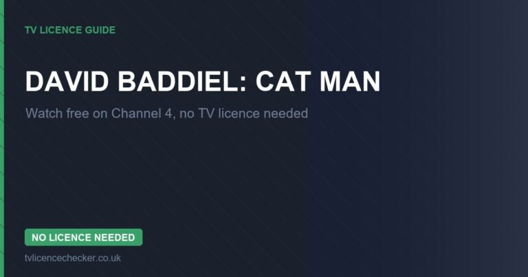 Watch David Baddiel: Cat Man Without a TV Licence (Free on Channel 4)